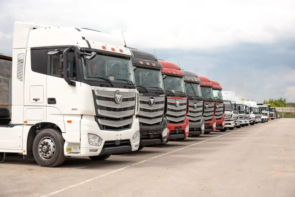 ttm-centr-6-1024x683